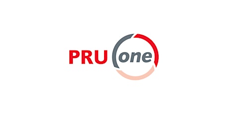 PRUOne Updates 2.0.6 | April 15, 2PM-4PM primary image