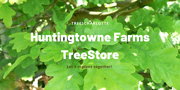 Huntingtowne Farms Drive-thru TreeStore