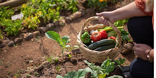 Immagine principale di ATELIER : AU COEUR DU POTAGER