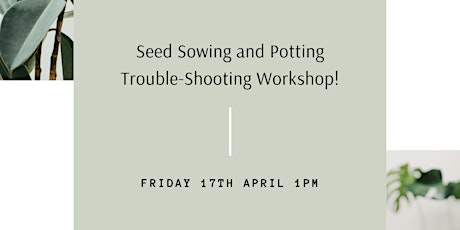 Sadeh Seed Sowing Trouble-Shooting Workshop primary image