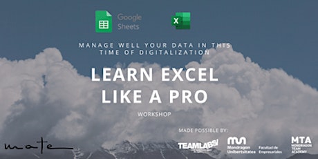 Imagen principal de LEARN EXCEL LIKE A PRO