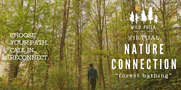 Nature Connection | Virtual "Forest Bathing" Session