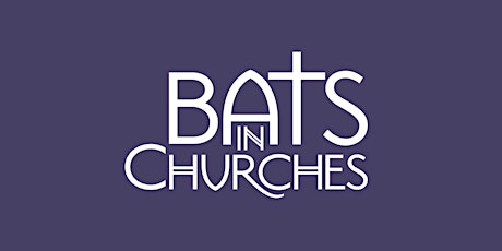 How to take part in the Bats in Churches Study  primary image