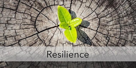 Relax into Resiliency Half-Day Virtual Retreat