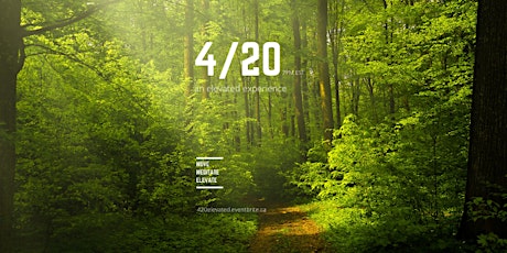 420 - An Elevated Experience primary image