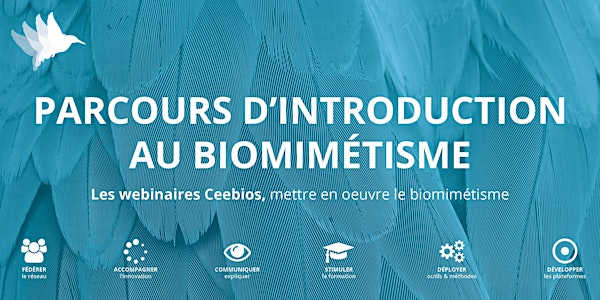 Introduction au Biomimétisme