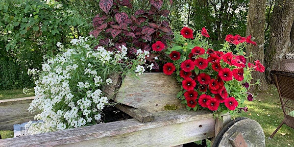 Learn to Create a Beautiful Flower Container
