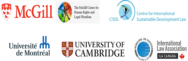 Human Rights, the Sustainable Development Goals & the Law image