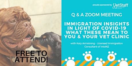 Immigration Insights in Light of Covid-19  | what these mean to you and your vet clinic primary image