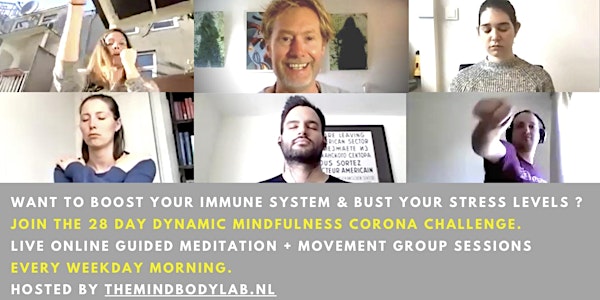 28 Day Online Dynamic Mindfulness Meditation & Movement Challenge