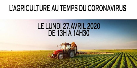 Image principale de Webinar L'Agriculture marocaine au temps du Covid-19  Enjeux & Perspectives