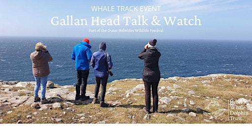 Imagen principal de Gallan Head Talk & Whale Watch