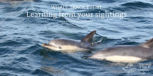 Imagem principal de Whale Track: Learning from your sightings talk
