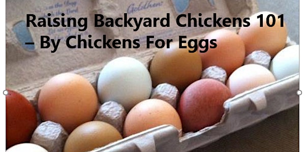 Raising Backyard Chickens 101(Extended Webinar)By Chickens For Eggs!