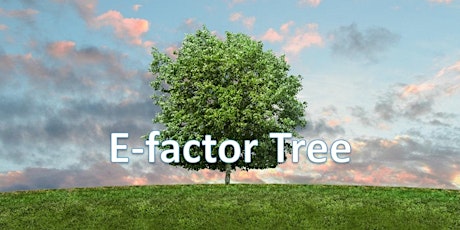 Webinar gratuito: usare l’albero dell’occupabilità E-Factor Tree nella rice