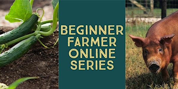 Beginner Farmer Series:  What Can I Grow?