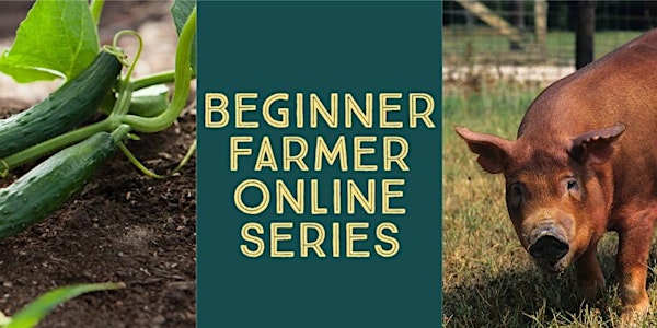Beginner Farmer Series:  Where & How am I Going to Sell It?