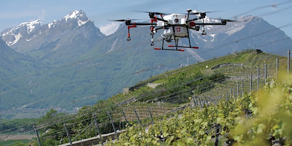 Swiss Touch in Wine & Tech - Webinar