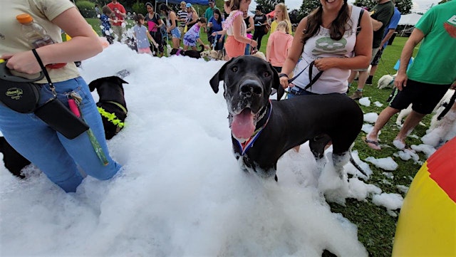 Imagen principal de 2026 Pupstock ™ Festival: NJ's Best family-friendly dog festival
