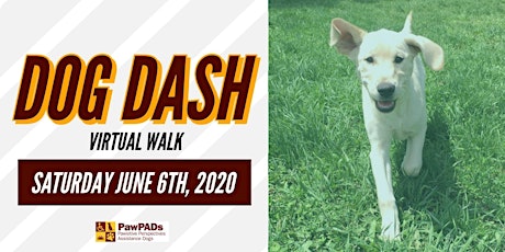 Dog Dash - Virtual Walk primary image