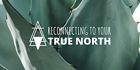Reconnecting to your TRUE NORTH primary image