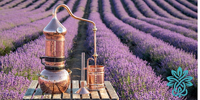 Image principale de CUIDADO Y NUTRICIÓN DE LA PIEL DESPUES DEL INVIERNO ✨