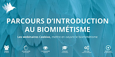 Conférence - Panorama national du biomimétisme - Cycle 2
