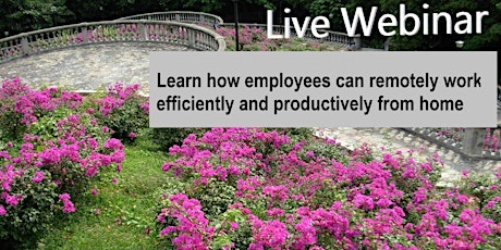 Learn how employee can remotely work efficiently and productively from home primary image