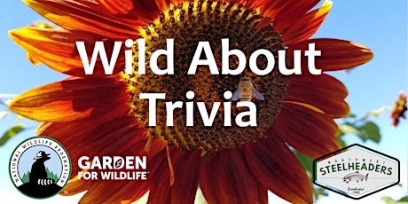 Wild About Trivia primary image