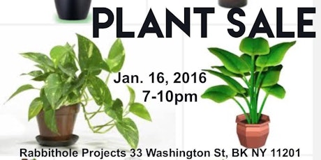 Plant Sale: a group show exploring the common house plant