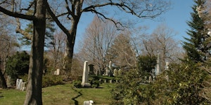 Mindful Walking Mount Auburn Cemetery